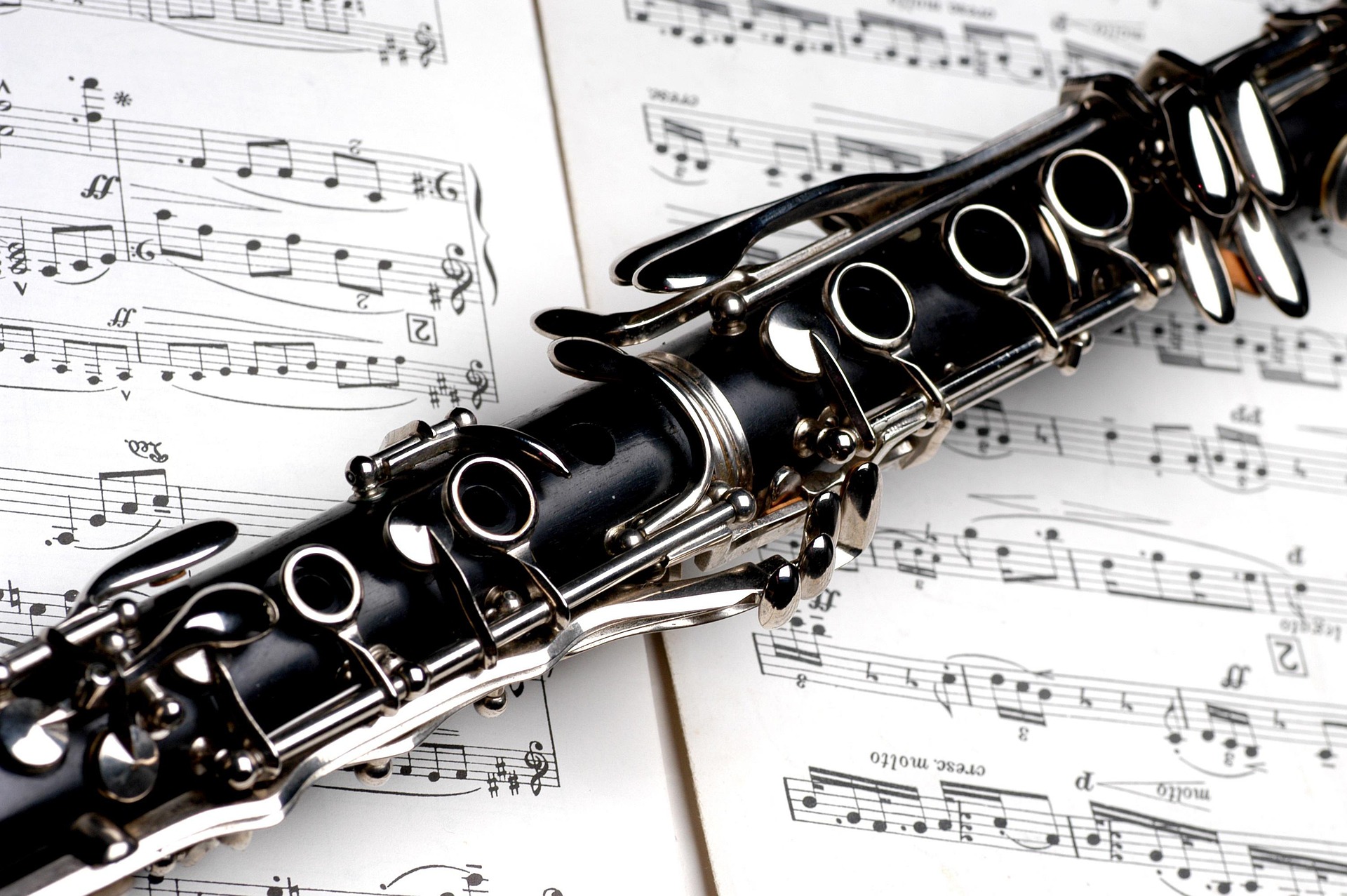 The Evolution of Music Education: From the Basics to the Conservatory